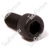 SIZE M6x1x10 ВИНТ С ШЕСТИГРАННЫМ ОТВЕРСТИЕМ В ГОЛОВКЕ 