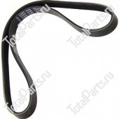 TOTALSOURCE 92507049 ПОЛИКЛИНОВОЙ РЕМЕНЬ