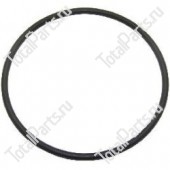SIZE 4*95 КОЛЬЦЕВОЕ УПЛОТНЕНИЕ FPM80