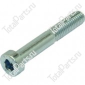 SIZE 8xM8x55x60xNxB13xB1x ВИНТ С ШЕСТИГРАННЫМ ОТВЕРСТИЕМ В ГОЛОВКЕ