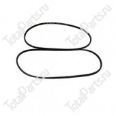 TVH 2195279 РЕМЕНЬ