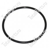 SIZE 59.5x3.5 КОЛЬЦЕВОЕ УПЛОТНЕНИЕ NBR70