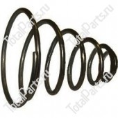 BT 213817 ПРУЖИНА