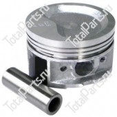 TVH 153061 ПОРШЕНЬ STD