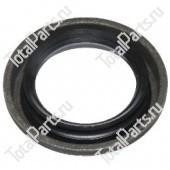 SIZE 2.85*2*0.5 САЛЬНИК S56 | I | Z-NO ROTATION