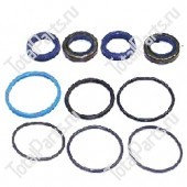 TVH 107TA6432 РЕМКОМПЛЕКТ ГИДРОЦИЛИНДРА BOLZONI HN35-HN5