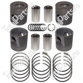 MASSEY FERGUSON 4225018M91 ПОРШЕНЬ STD В СБОРЕ С КОЛЬЦАМИ (КОМПЛЕКТ НА ДВC)