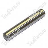 BT 125872 ШКВОРЕНЬ