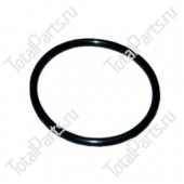 SIZE 2.5*34 КОЛЬЦЕВОЕ УПЛОТНЕНИЕ NBR80