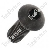 SIZE 8xM8x1.25x20x24.4xYx ВИНТ С ШЕСТИГРАННЫМ ОТВЕРСТИЕМ В ГОЛОВКЕ
