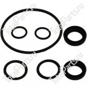 TCM 22N5733081 КОМПЛЕКТ САЛЬНИКОВ