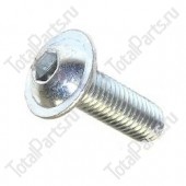 SIZE M8x1.25x25x29 ВИНТ С ШЕСТИГРАННЫМ ОТВЕРСТИЕМ В ГОЛОВКЕ