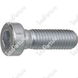 TVH 1182951 ВИНТ