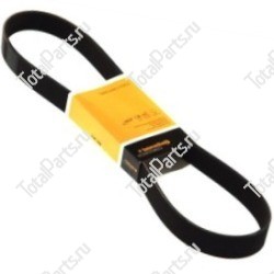 DAYCO 8PK1582HD ПОЛИКЛИНОВОЙ РЕМЕНЬ 8 РЕБЕР 1582ММ