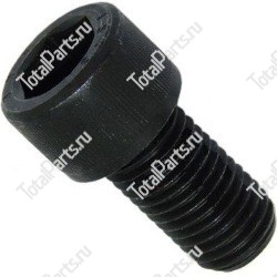 BOLZONI 600010 ВИНТ С ШЕСТИГРАННЫМ ОТВЕРСТИЕМ В ГОЛОВКЕ