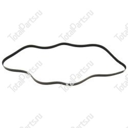 TOTALSOURCE 263066209 ПОЛИКЛИНОВОЙ РЕМЕНЬ