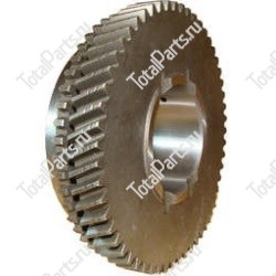 SAW 117807 ШЕСТЕРНЯ