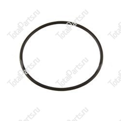 NISSAN NFF315307500 УПЛОТНИТЕЛЬНОЕ КОЛЬЦО