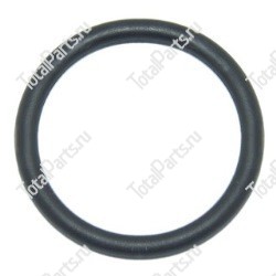 NISSAN 4019673001 КОЛЬЦО УПЛОТНИТЕЛЬНОЕ