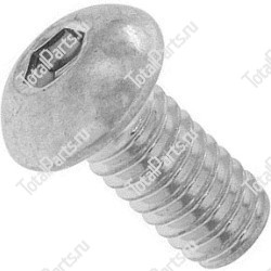 SIZE M6x12 ВИНТ С ШЕСТИГРАННЫМ ОТВЕРСТИЕМ В ГОЛОВКЕ 10.9