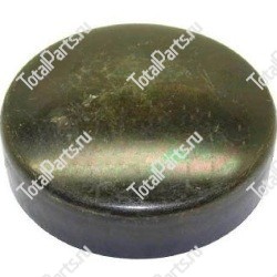 HYUNDAI 81F751060 КРЫШКА СТУПИЦЫ