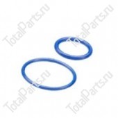 JUNGHEINRICH (AMEISE) 50459812 НАБОР ИЗ 2-Х РЕЗИНОВЫХ КОЛЕЦ ДЛЯ ИСПАРИТЕЛЯ