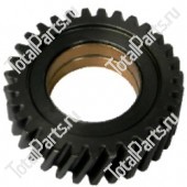 TCM Z5125230231 ШЕСТЕРНЯ Z=31