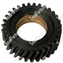 TCM Z5125230231 ШЕСТЕРНЯ Z=31