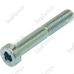 SIZE 8*M8*50*55*N*B13*B1* ВИНТ С ШЕСТИГРАННЫМ ОТВЕРСТИЕМ В ГОЛОВКЕ