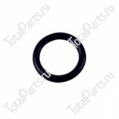 SIZE 24.3*3.1 КОЛЬЦЕВОЕ УПЛОТНЕНИЕ NBR70