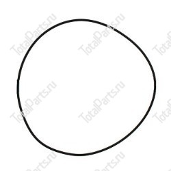 ZF 0634303980 КОЛЬЦО УПЛОТНИТЕЛЬНОЕ