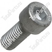 CARRARO 021435 ВИНТ С ШЕСТИГРАННЫМ ОТВЕРСТИЕМ В ГОЛОВКЕ