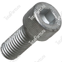 CARRARO 021435 ВИНТ С ШЕСТИГРАННЫМ ОТВЕРСТИЕМ В ГОЛОВКЕ