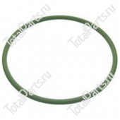 SIZE 118x5.33 КОЛЬЦЕВОЕ УПЛОТНЕНИЕ FPM80