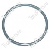 TVH 1217961 О - КОЛЬЦО ДЛЯ ПОМПЫ TOYOTA 161007820271