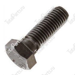 SIZE 10xM10x30xNxA1xSx1.2 БОЛТ С ШЕСТИГРАННОЙ ГОЛОВКОЙ