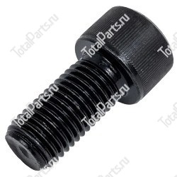 SIZE 14xM14x2x30x43.5xYxB ВИНТ С ШЕСТИГРАННЫМ ОТВЕРСТИЕМ В ГОЛОВКЕ 10.9