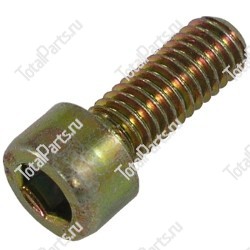 TOTALPARTS 000065049 ВИНТ С ШЕСТИГРАННЫМ ОТВЕРСТИЕМ В ГОЛОВКЕ